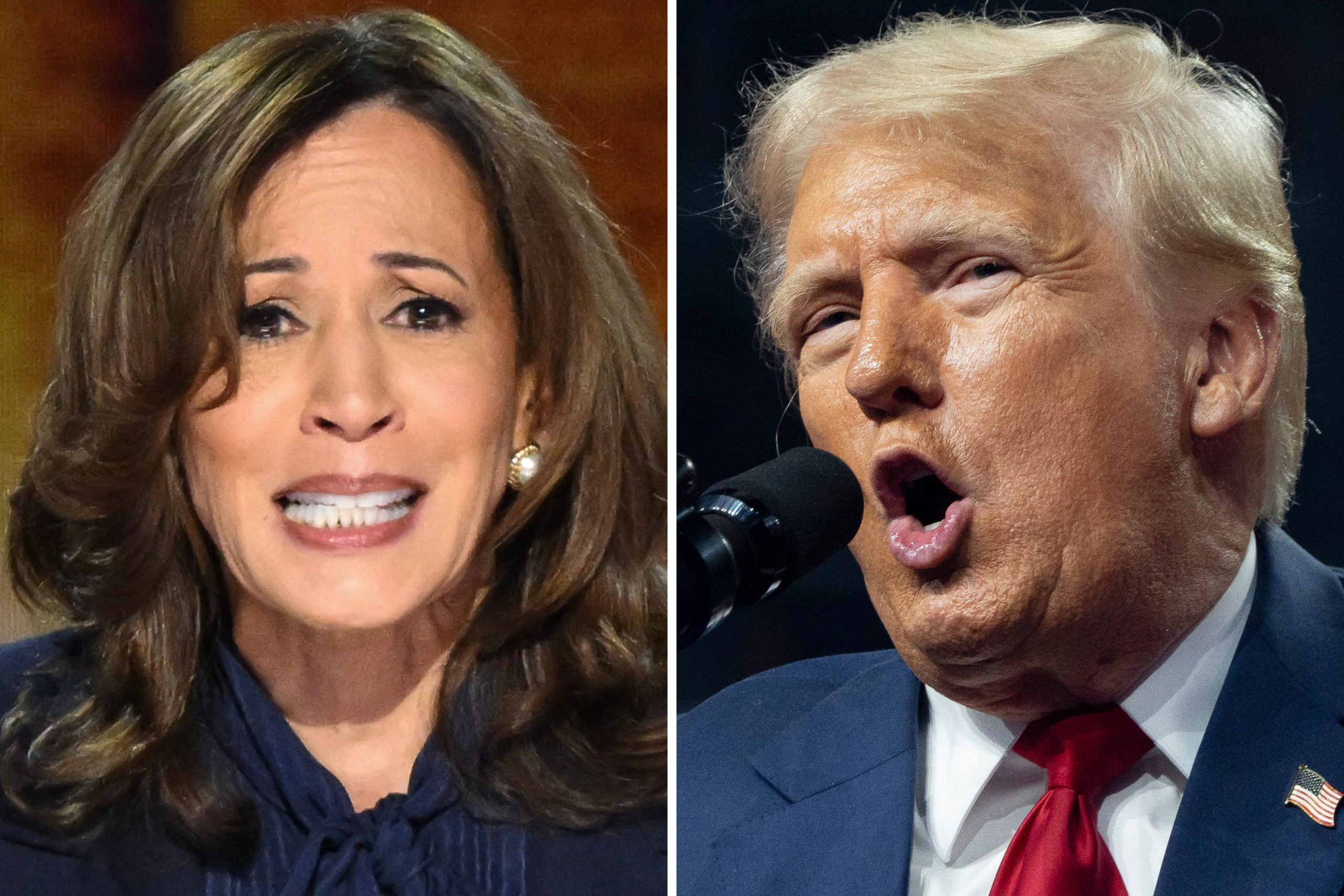 Donald Trump Questions Kamala Harris’ ‘Proper To Run for President’