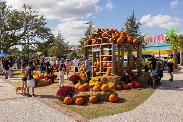 Fall for Myrtle Seashore: Uncover the Magic of Autumn Alongside the Grand Strand