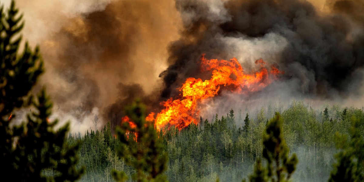 Canada’s 2023 wildfires produced extra emissions than fossil fuels in most nations