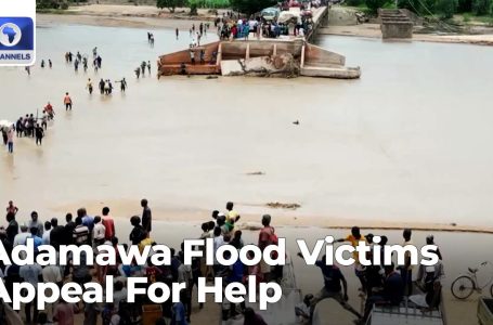 Adamawa Flood Victims In Madagali, Michika1 Cry For Assist