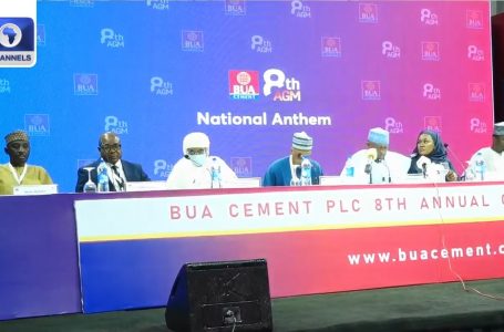 BUA Cement Information ₦460bn Internet Income In 2023