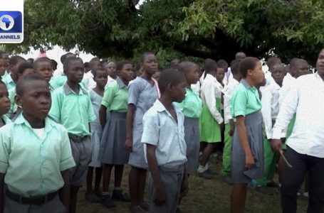 Benue Schooling: State Govt Promotes Free Fundamental Schooling & ECCD Reforms