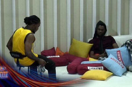 Day 10: Michky discusses Wanni’s Shaun feedback – BBNaija | S9 | Africa Magic