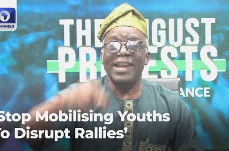 Govt Officers Should Begin Partaking Protesters, Cease Mobilising Youths To Disrupt Rallies – Falana