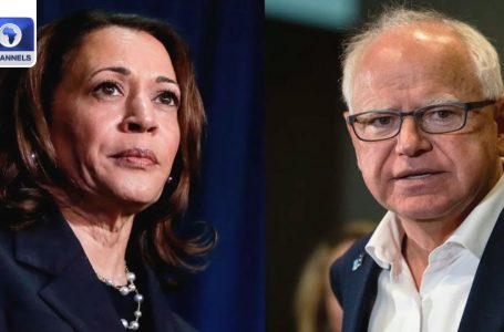 Harris, Walz Seem In First Main TV Interview + Extra | The World At present