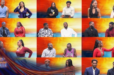 Heartfelt phrases of affirmation – BBNaija | S9 | Africa Magic