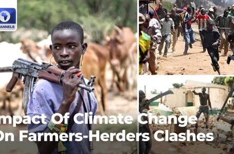 Affect Of Local weather Change On Farmers Herders Clashes In Nigeria +Extra | The Gavel