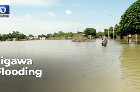 Jigawa Flooding: Flood Claims 25 Lives, Render 4,000 Homeless