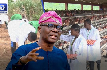 Lagos Govt Kicks Off 2024 Lagos Agripreneurship Prog For Agric Startups