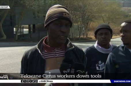 Mpumalanga | Tekwane Citrus Farm employees down instruments