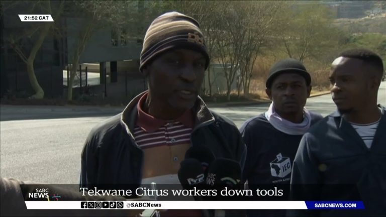 Mpumalanga | Tekwane Citrus Farm employees down instruments