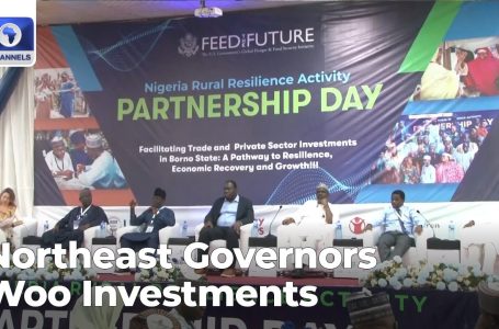 Northeast Governors Woo Investments In Agricultural Worth Chain