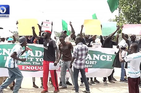 Professional And Anti Teams Protest Collectively In Adamawa State