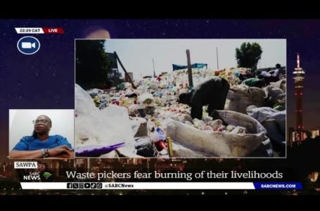 Recycling | Waste pickers worry livelihoods might be ‘burned up’: Maditlhare Koena