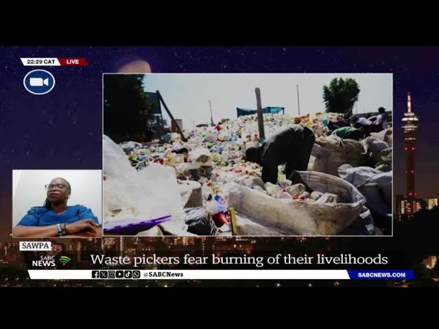 Recycling | Waste pickers worry livelihoods might be ‘burned up’: Maditlhare Koena