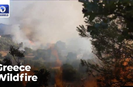 Hundreds Evacuated As Wildfires Unfold Close to Athens, Greece + Extra | The World As we speak