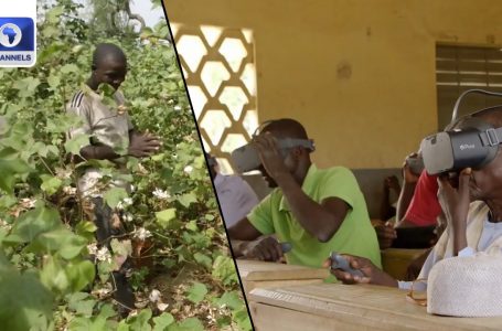 Digital Actuality Helps Cameroon Cotton Farmers Maximize Yields + Eco Africa