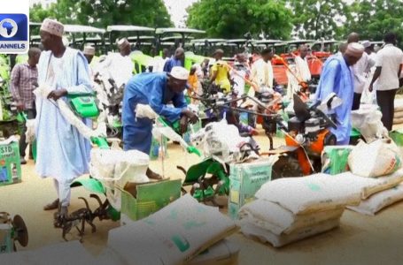 Yobe Agriculture: Governor Buni Supplies 5,000 Farmers With Inputs In 15 LGAs