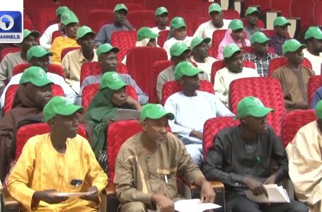 Yobe Govt Engages 178 Extension Service Staff