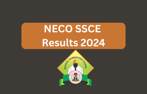 How one can verify NECO 2024 outcomes 