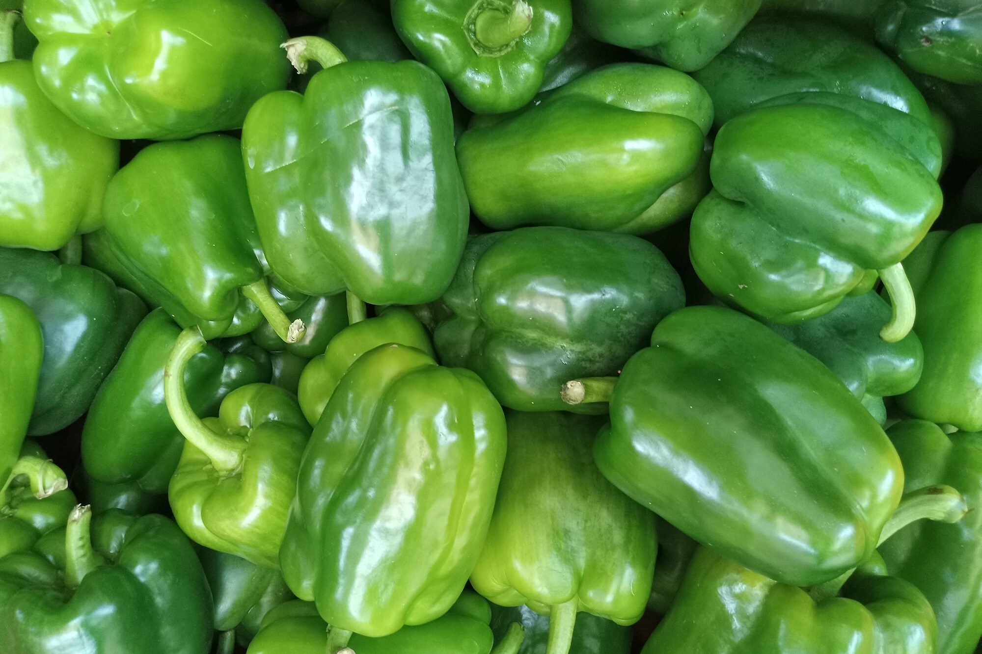 You’ll By no means Discover Inexperienced Peppers within the Bell Pepper Multipacks—Right here’s Why