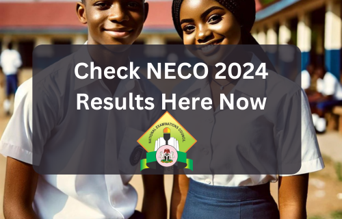 Examine new 2024 NECO outcomes now