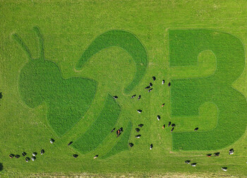 Natural Valley Creates Greenest Adverts Grazed by Cows