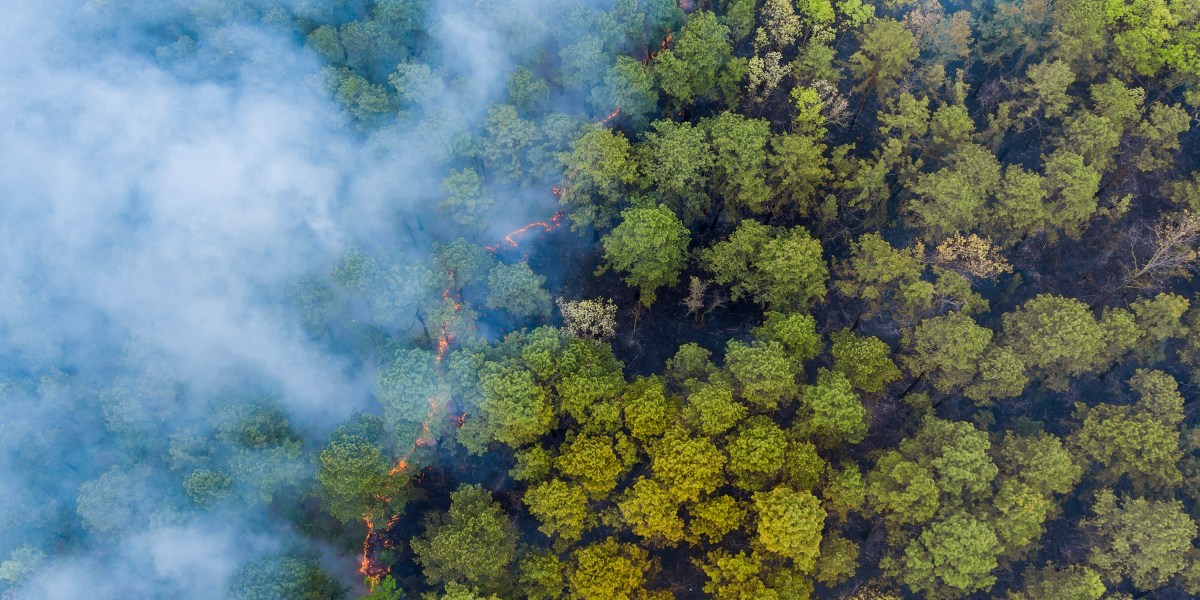 How AI might help spot wildfires