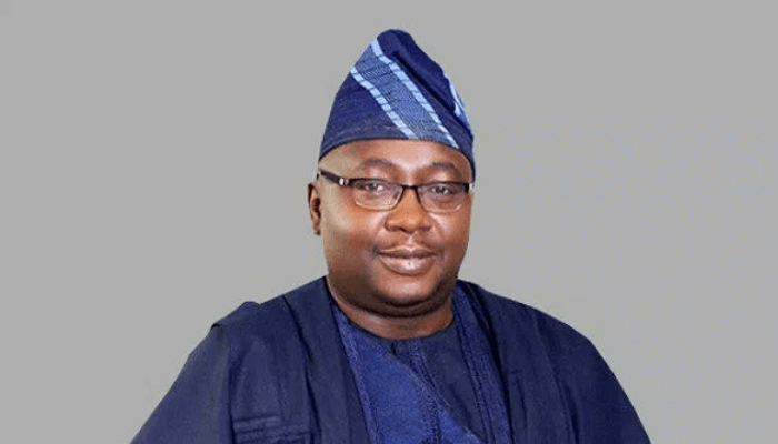 Over 40% of Nigerians take pleasure in 20 hours of energy every day, says Adelabu