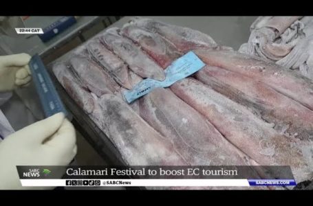 2024’s Calamari Pageant goals to spice up EC tourism