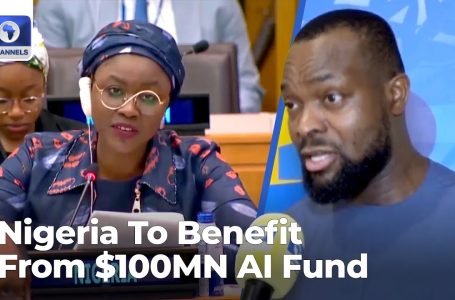 79th UNGA: Nigeria To Profit From $100MN AI Fund