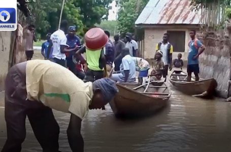 Adamawa Cholera Outbreak: State Govt. Confirms Twelve Deaths