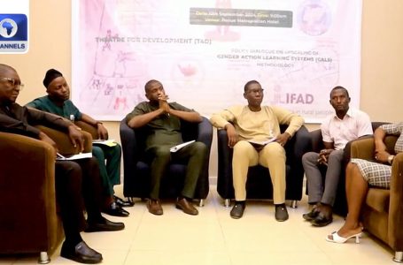 Benue Govt Companions IFAD To Empower Ladies In Agriculture