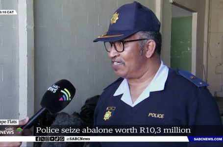 Cape Flats | Police seize abalone value R10.3 million