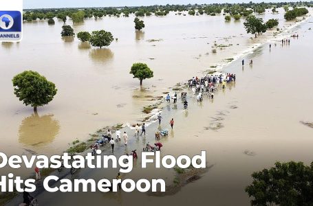 Devastating Floods Hit Cameroon, South Africa Visa Reform + Extra | Community Africa