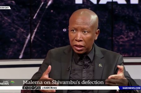 EFF is doing significantly better with out Shivambu: Julius Malema