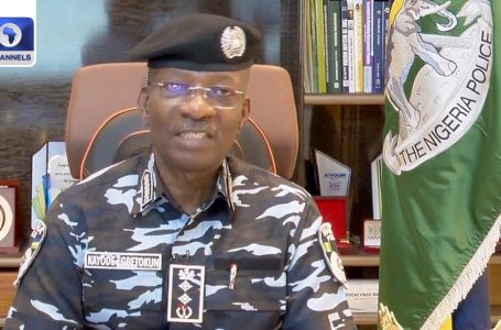 Edo Election: Vigilantes, Different Quasi-Safety Outfits Not Allowed, IGP Insists