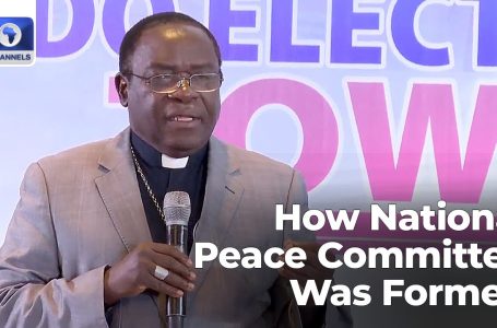 Elections: How Nationwide Peace Committee Was Fashioned – Bishop Kukah