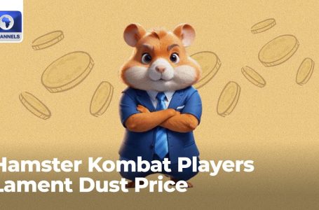 Hamster Kombat Gamers Lament Mud Worth