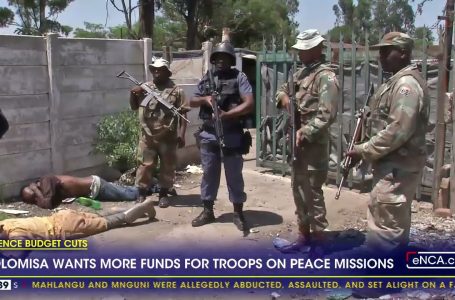 Holomisa needs extra funds for troops on peace missions