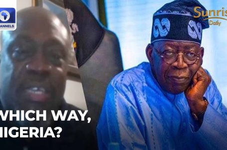 Int’l Affairs Analyst Assesses Tinubu’s Management Forward Of sixty fourth Independence Anniversary