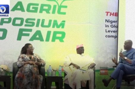 LCCI Agric Symposium: Options To Enhance Manufacturing Shared At Occasion