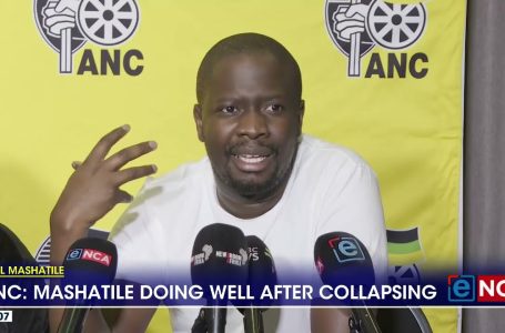 Mashatile doing nicely after collapsing – ANC