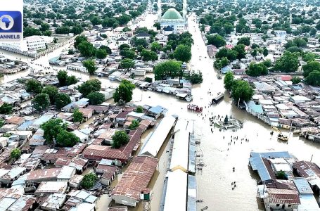 Huge Flood Hits Borno, DSS Arrest Ajaero, Edo Peace Accord + Extra | Newsround