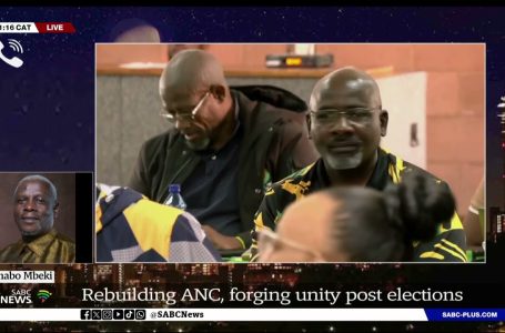 Mbeki requires rebuilding of ANC: Mxolisi Dukwana weighs in