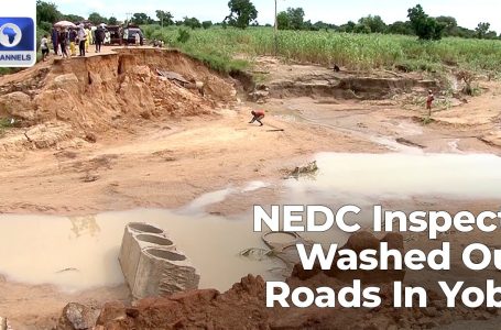 NEDC Inspects Yobe Roads Washed Away By Floods