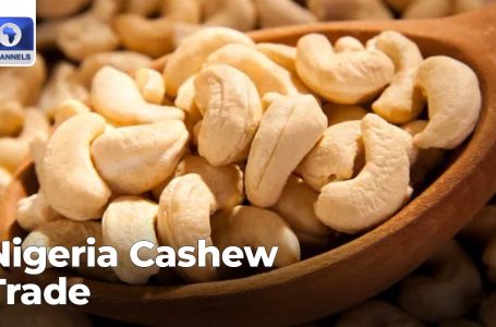 Nigeria Cashew Commerce Rises In Q2