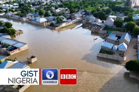 Nigeria’s Perennial Flood: What Went Fallacious In Borno State