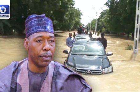 Over One Million Individuals Affected In Borno Flood – Zulum + Extra | Community Africa