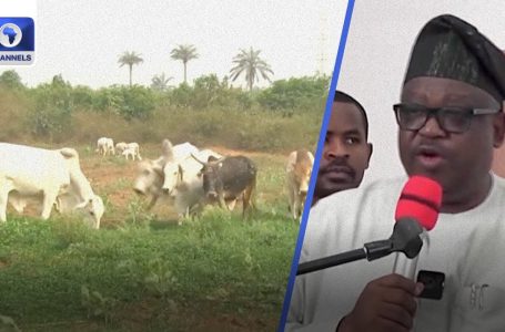 Plateau Govt Offers Replace On Safety, Livestock Manufacturing +Extra Newsroom